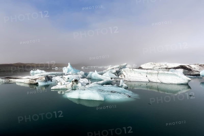 Icebergs in the morning light