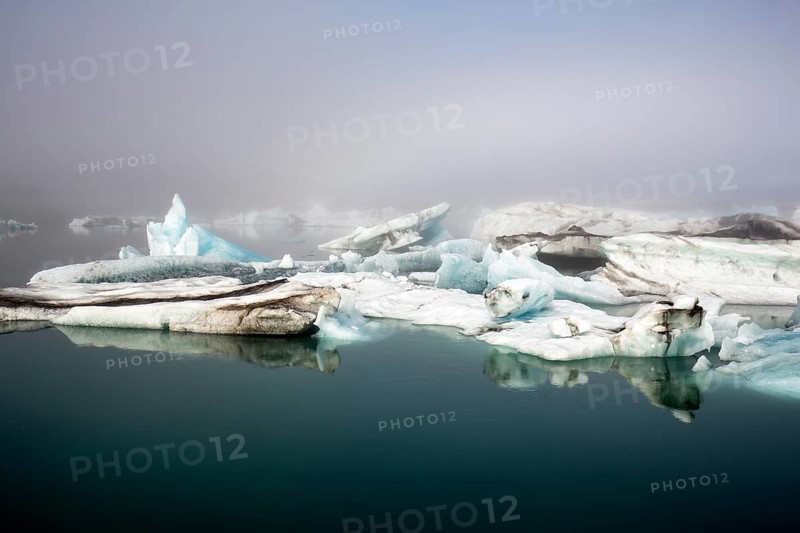 Icebergs in the morning light