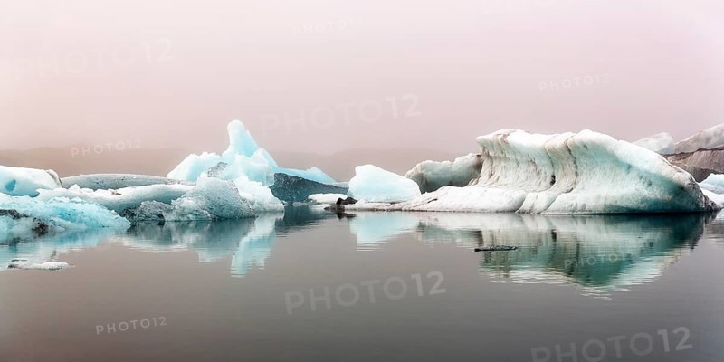 Icebergs in the morning light