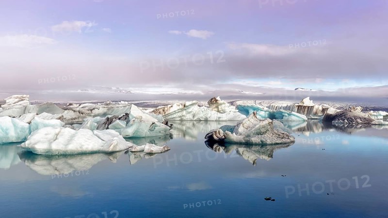 Icebergs in the morning light