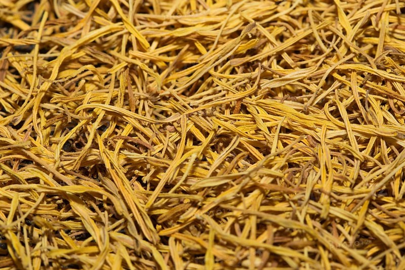 White Lotus Tea