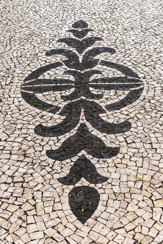 Black and white ornamental floor mosaic of paving stones