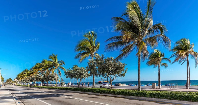 Palms and Beach