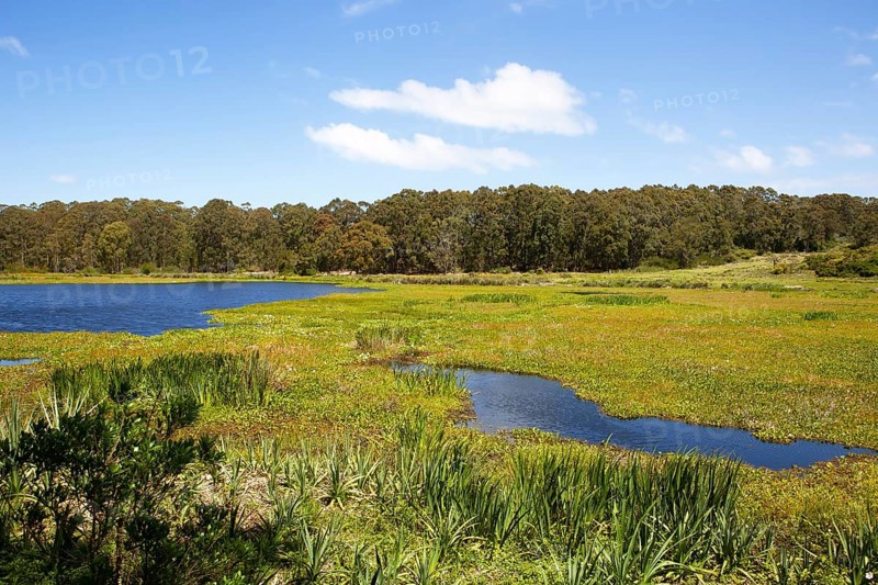 Laguna de Pena