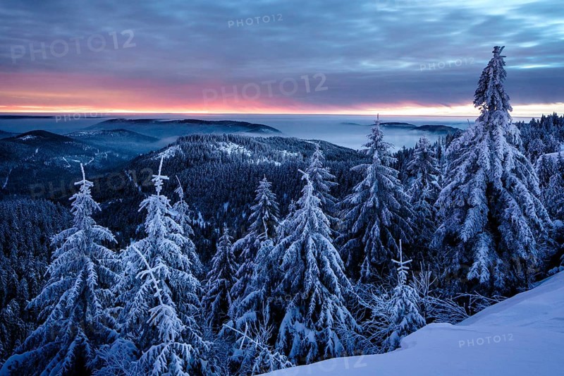 Winter dawn on the Hornisgrinde