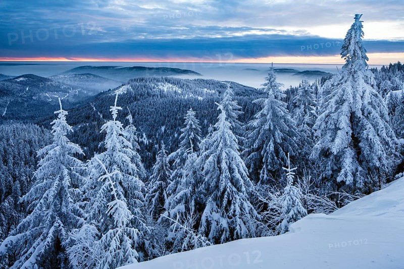 Winter dawn on the Hornisgrinde