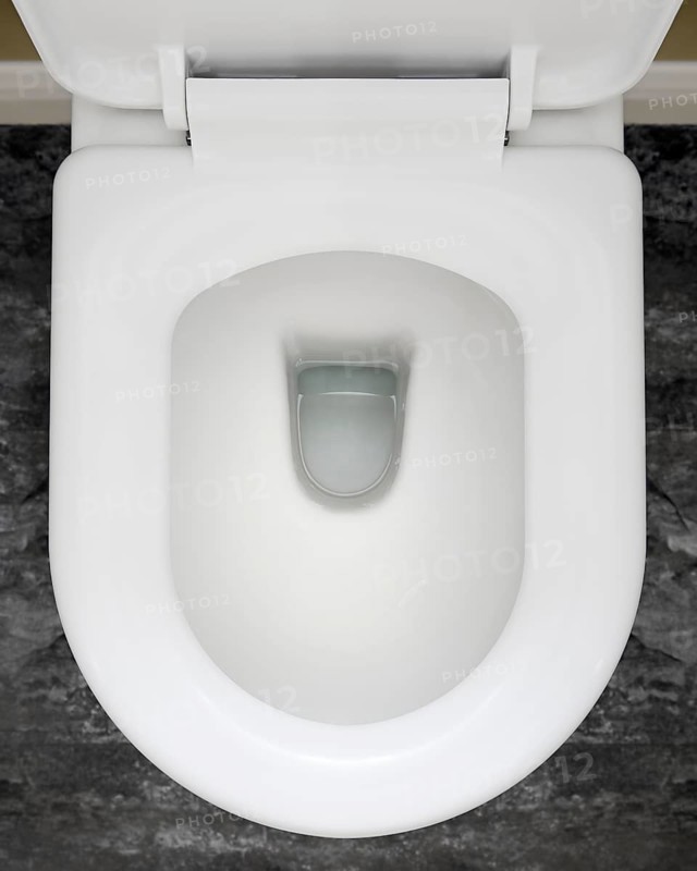 Toilet bowl