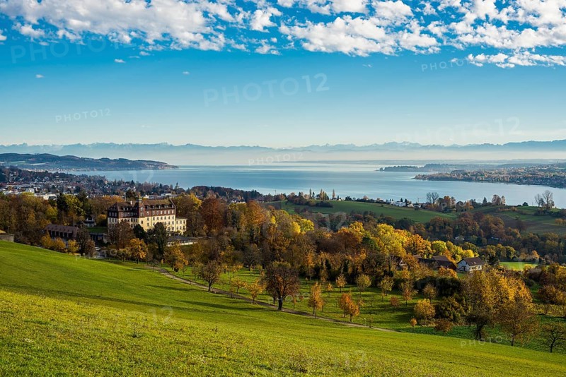 View over Lake Constance in autumn
