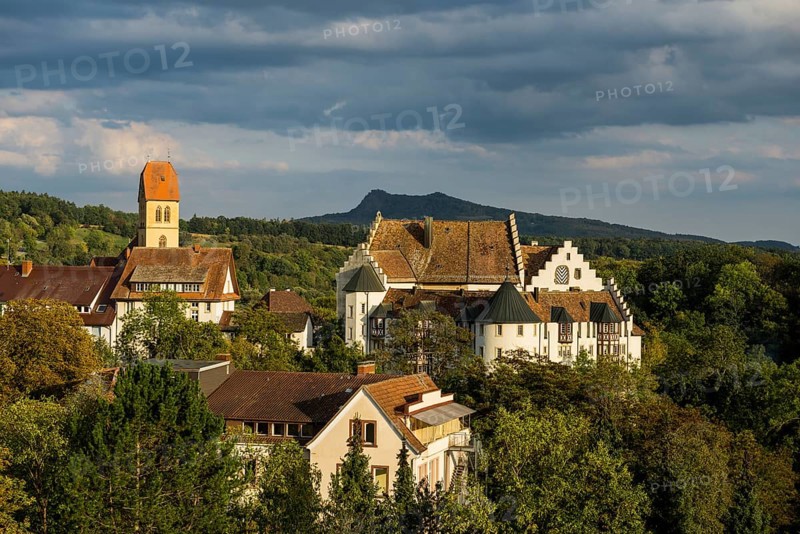 Blumenfeld Castle