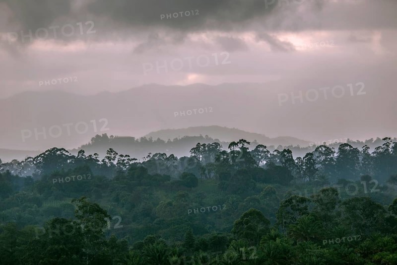 Landscape with clouds and forest