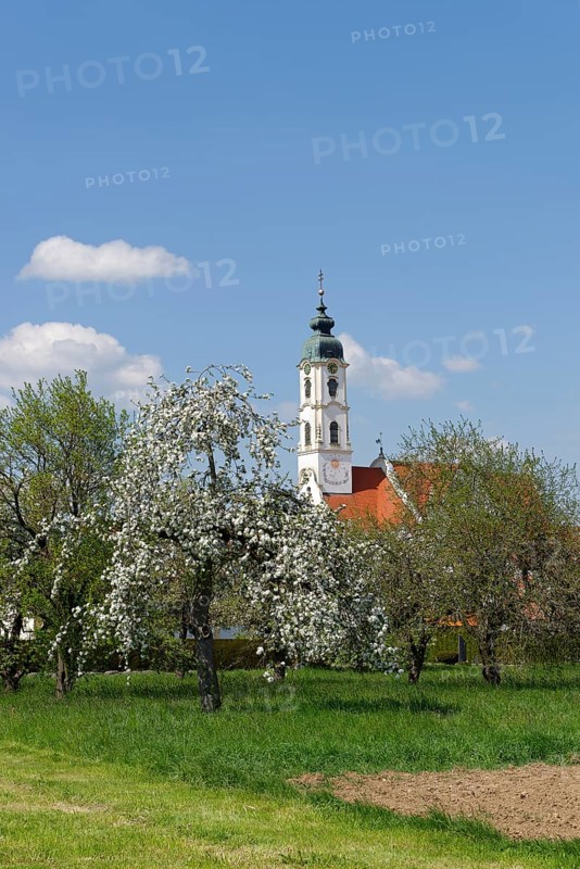 Pilgrimage church Steinhausen