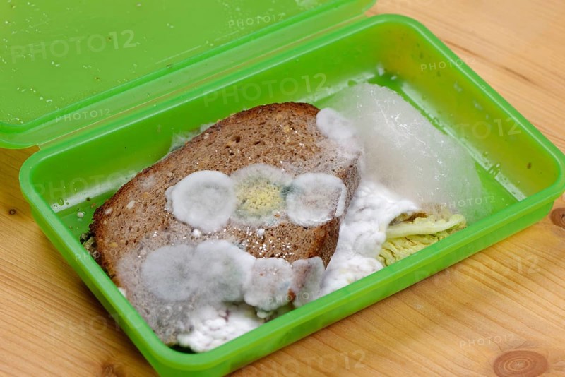 Mouldy bread in lunchbox