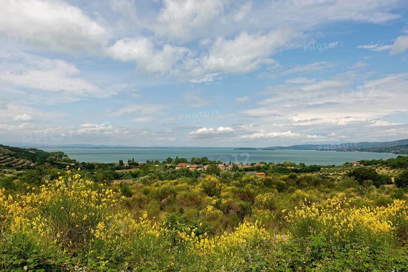 Lake Trasimeno