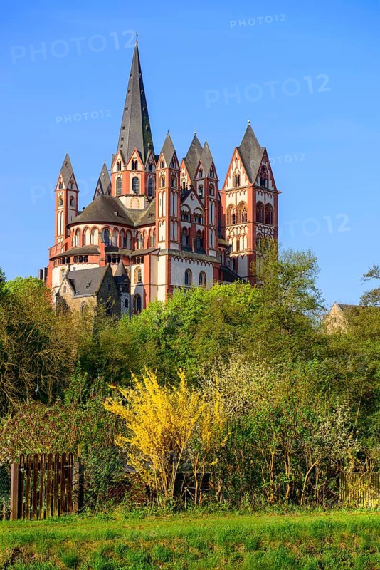 Limburg Cathedral St. Georg or Georgsdom