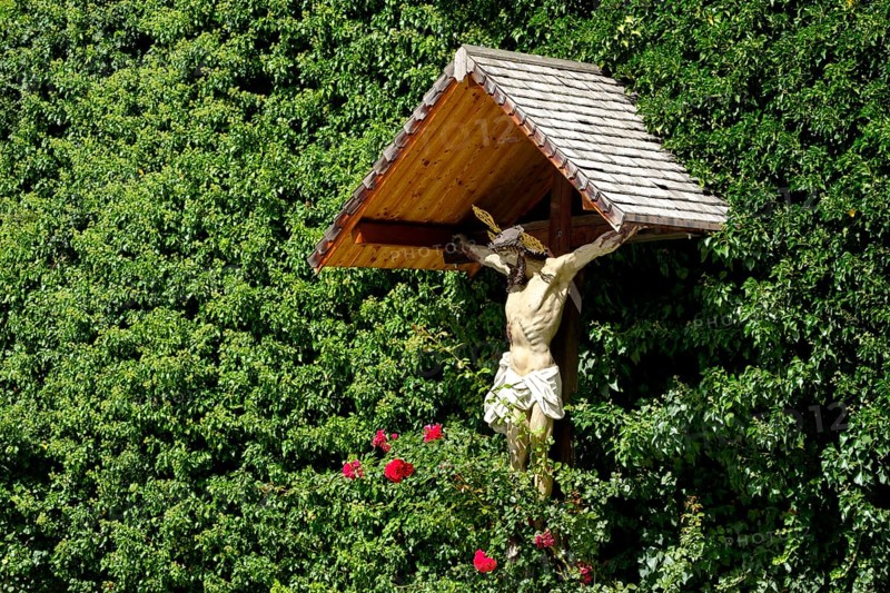 Way cross surrounded by ivy