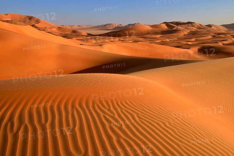 Sanddunes in the Rub al Khali desert