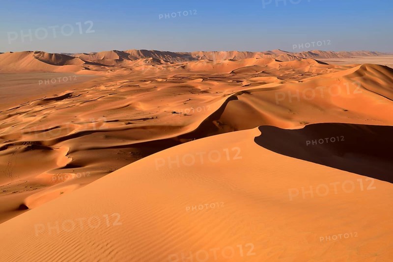 Sanddunes in the Rub al Khali desert