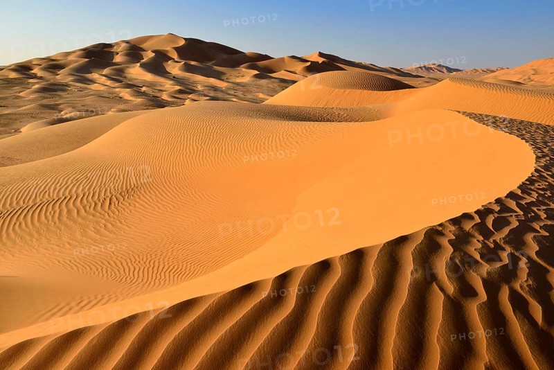 Sanddunes in the Rub al Khali desert