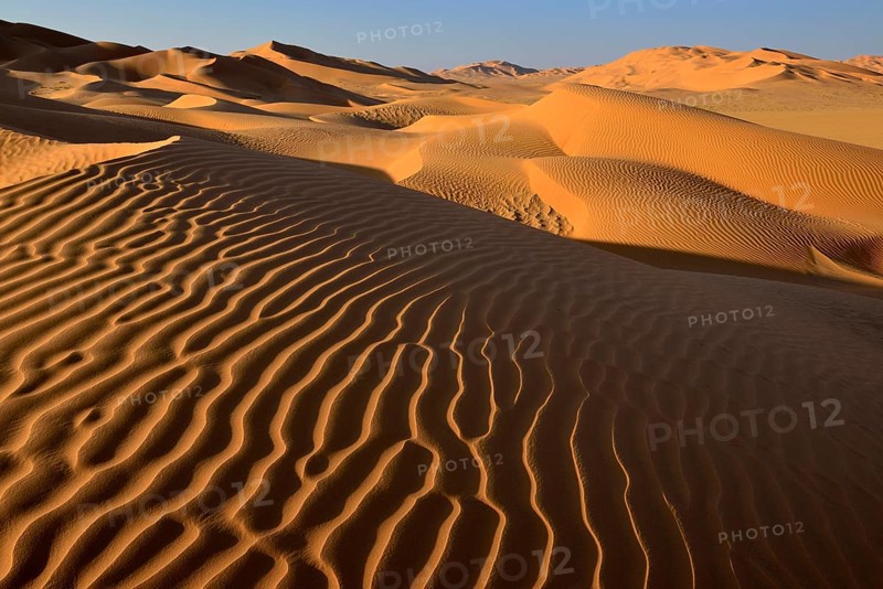 Sanddunes in the Rub al Khali desert