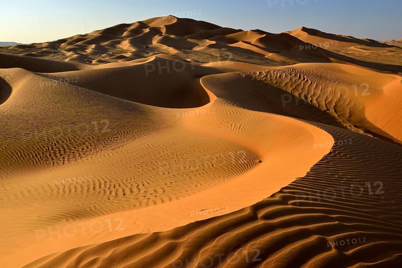 Sanddunes in the Rub al Khali desert