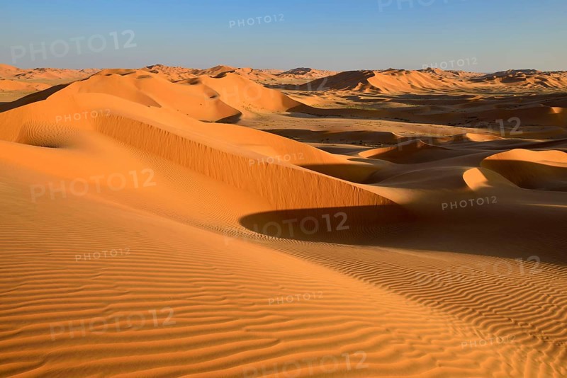 Sanddunes in the Rub al Khali desert