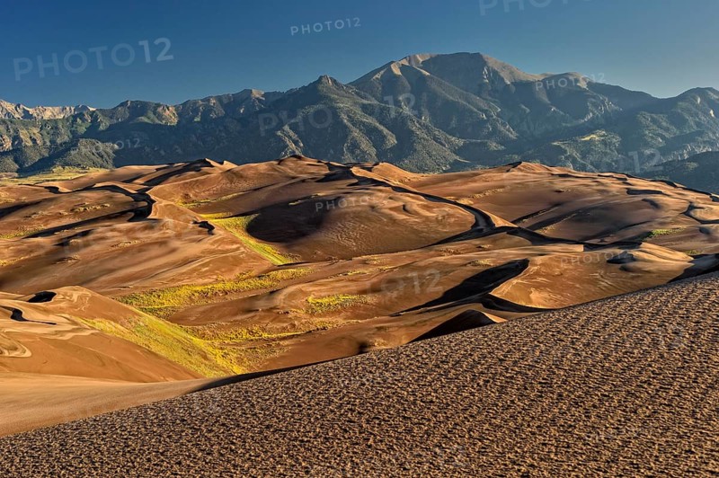 Dune landscape