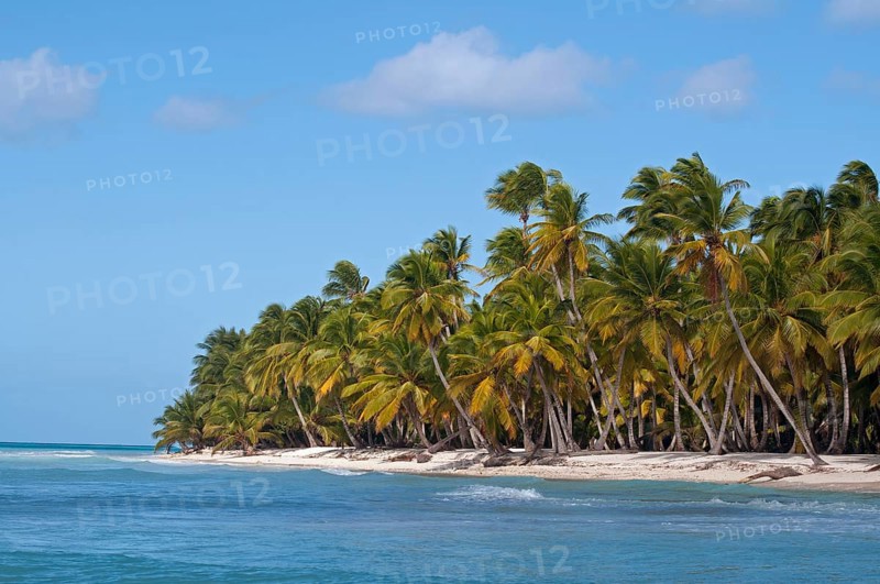 Palm Beach
