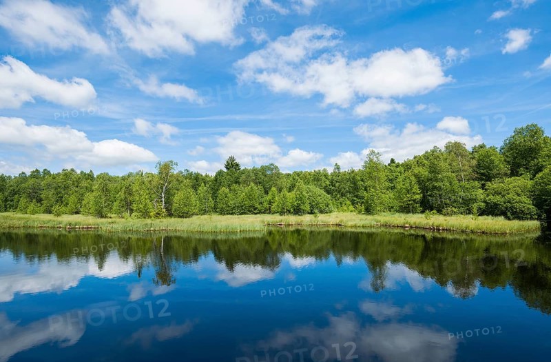 Swamp lake