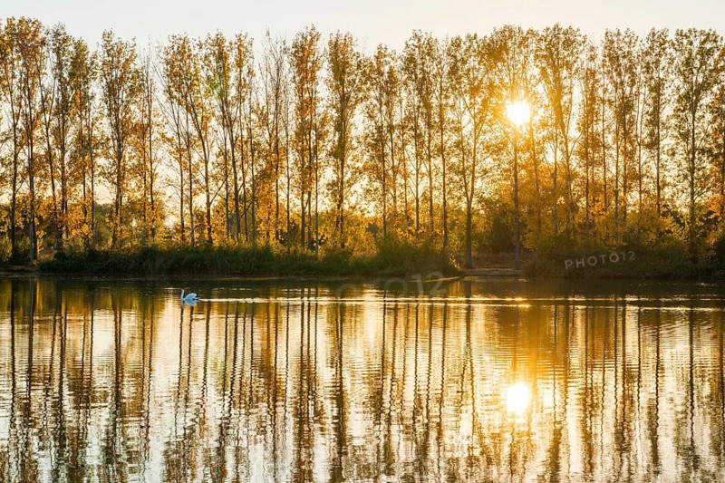 Evening atmosphere in the nature reserve Herbslebener Teiche
