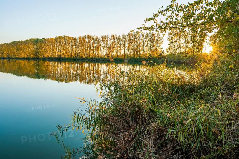 Evening atmosphere in the nature reserve Herbslebener Teiche