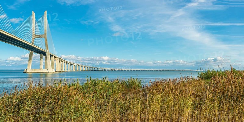 Ponte Vasco da Gama over the Tagus river