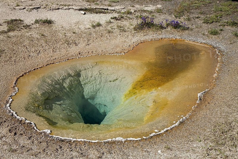 Belgian Pool