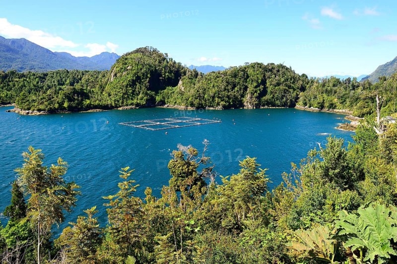 Fish farming in the Reloncavi Fjord