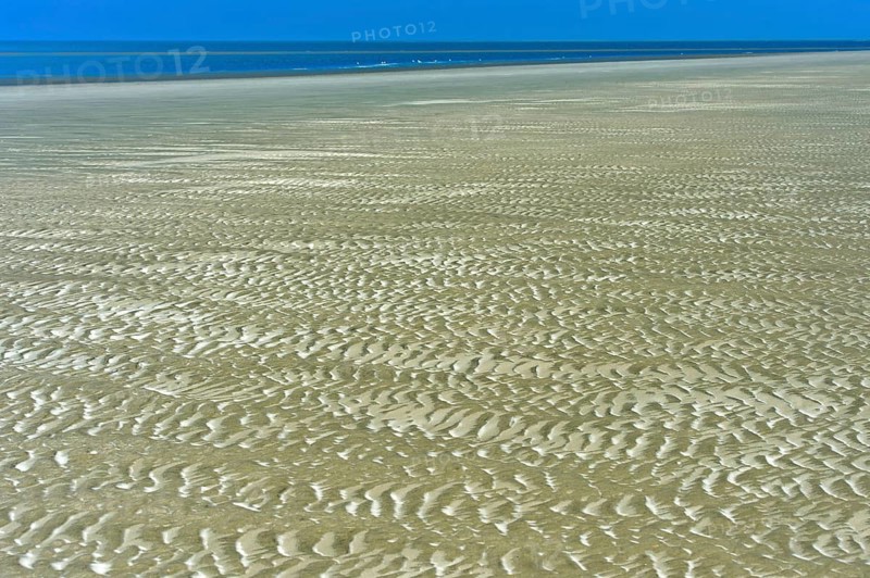 Ripples formed by wind and tidal currents in the sand in the mudflats