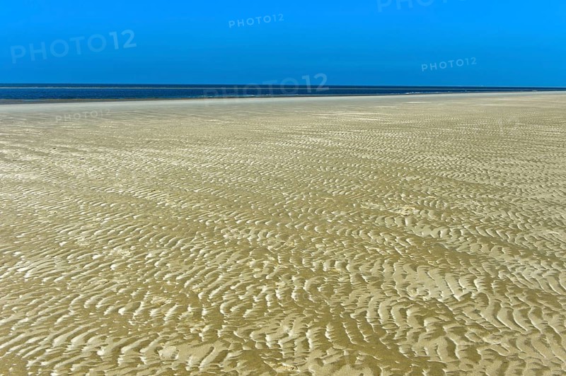 Ripples formed by wind and tidal currents in the sand in the mudflats