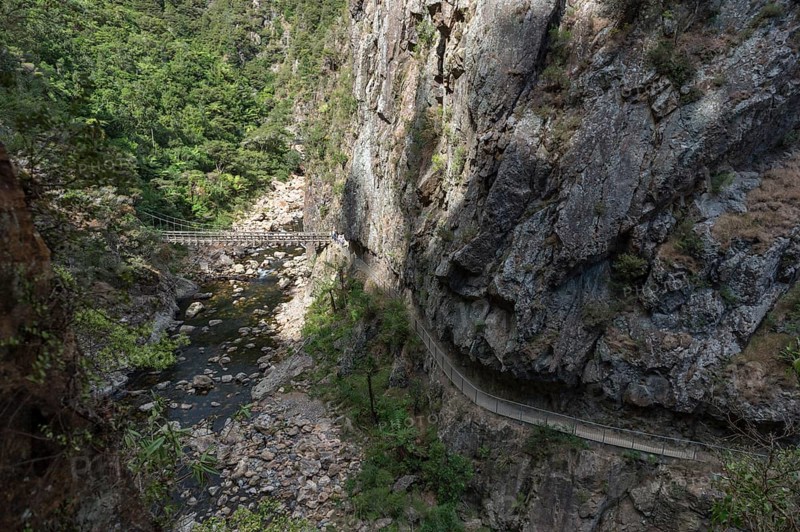Old way to the galleries of the gold diggers on the Coromandel Peninsula