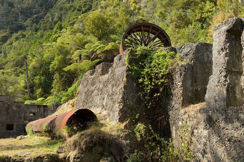 Relics from the time of the gold diggers on the Coromandel Peninsula