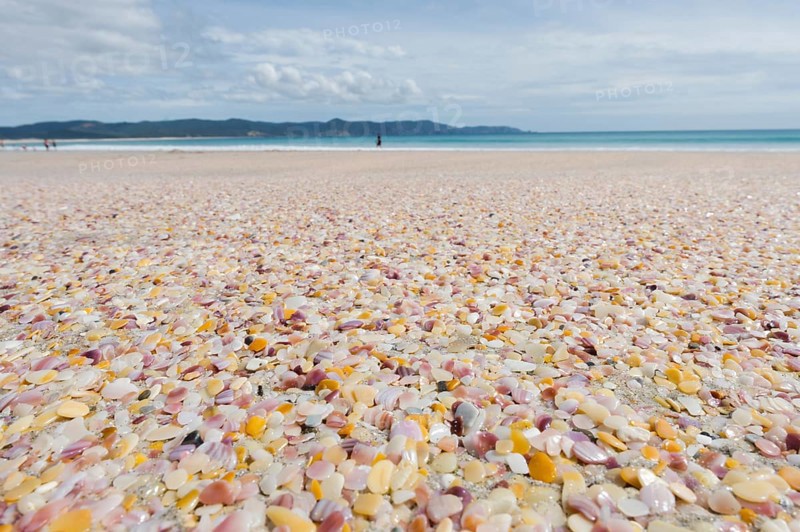 Colorful polished fragments of shell shells on the beach Rarawa Beach