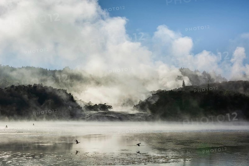 Fog and steam from hot springs at Lake Ohakuri