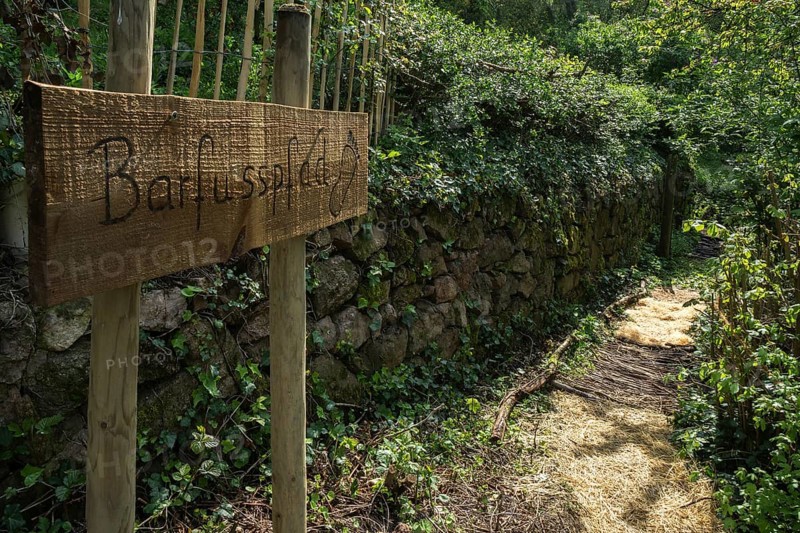 Barefoot path in the vineyards at Schriesheim