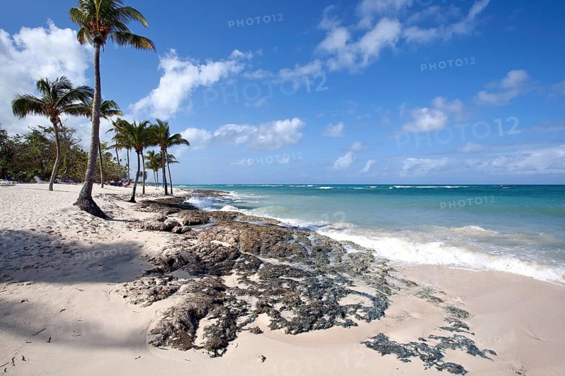 Cristal blue sea and palm trees on the beach Playa Guardalavaca
