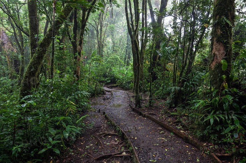 Encantado Trail
