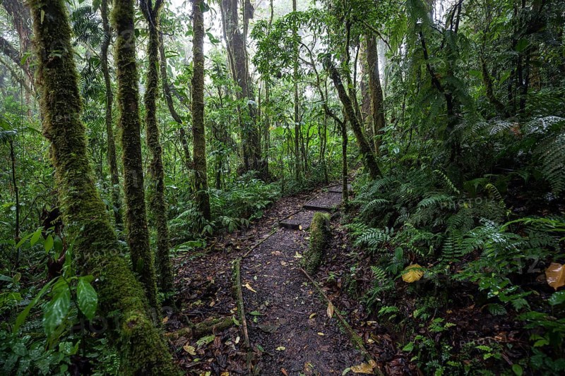 Encantado Trail