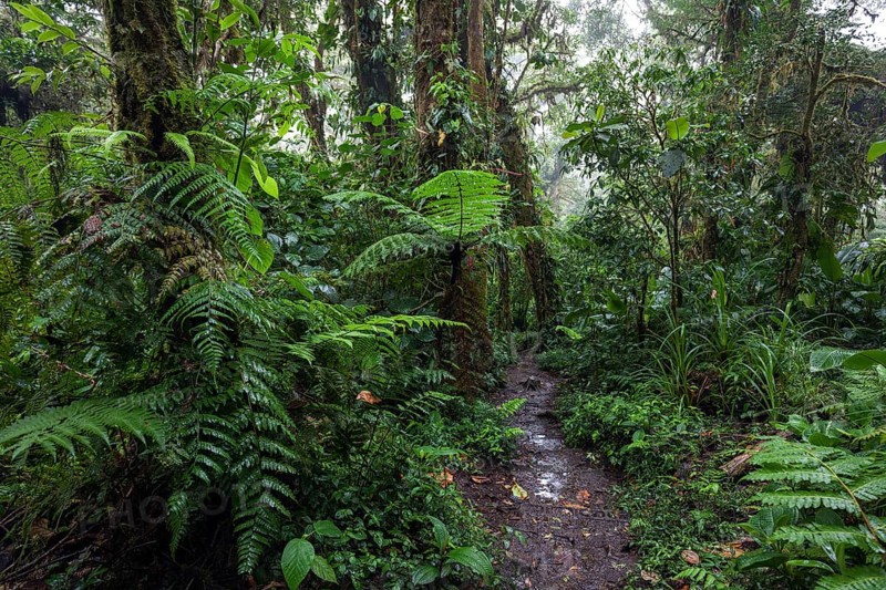 Encantado Trail