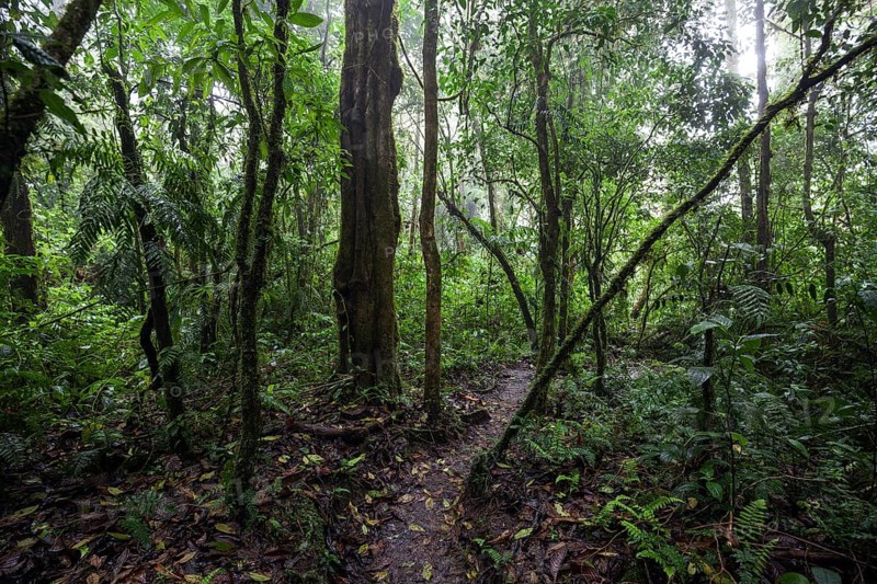Encantado Trail
