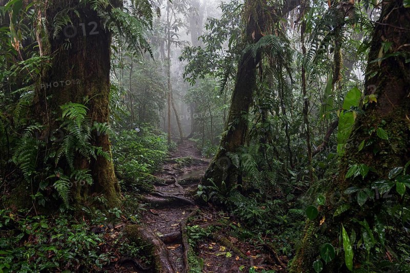 Encantado Trail