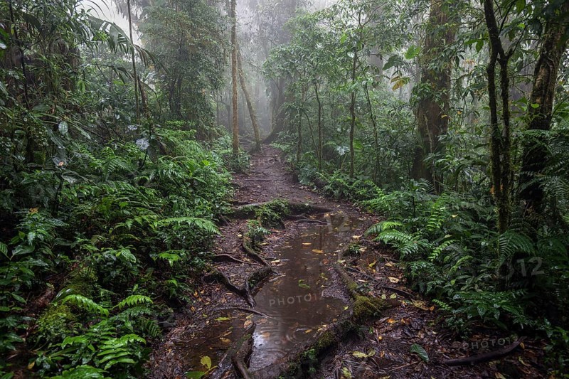 Encantado Trail