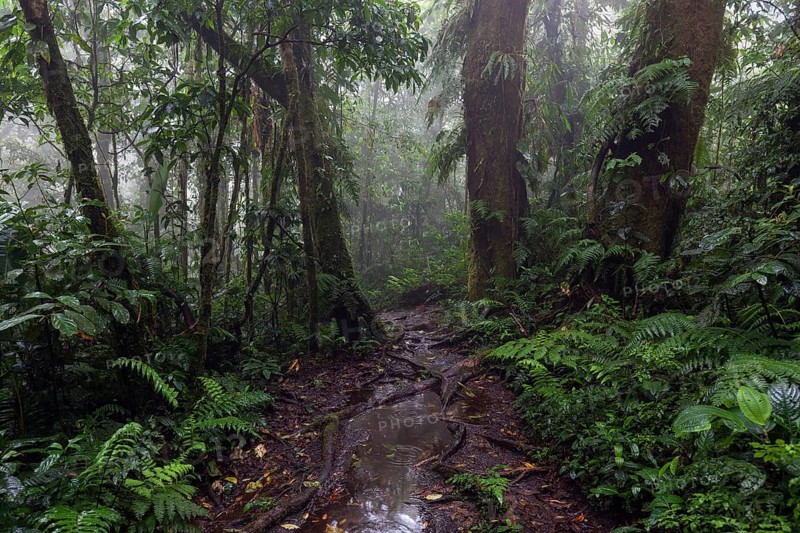 Encantado Trail