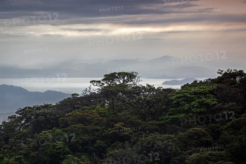 View from Santa Elena to tropical vegetation