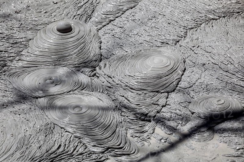 Fumarole with bubbling grey mud